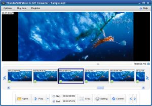 ThunderSoft GIF Converter with Patch