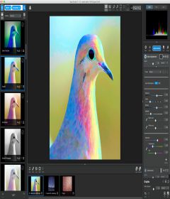 Topaz Studio + activator