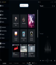 Audials One 2020.0.55.5500 Platinum + key