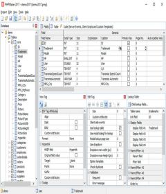 PHPMaker 2020.0.2 + keygen