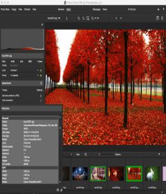Photo Ninja 1.3.8b + patch