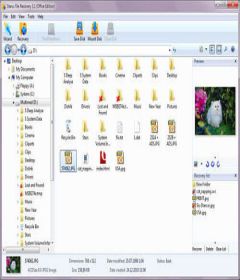 Starus NTFS / FAT Recovery 4.8 instal the last version for windows