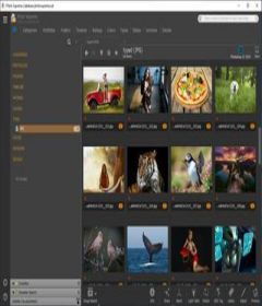 Photo Supreme 5.1.1.2465 + x64 + patch