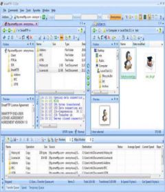 SmartFTP Client Enterprise 9.0.2717.0 + x64 + patch
