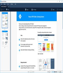 Movavi PDF Editor + patch