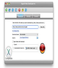 Bigasoft Video Downloader Pro 3.22.0.7296 + keygen