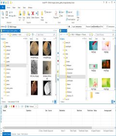 SmartFTP Client Enterprise 9.0.2731.0 + x64 + patch
