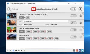 YouTube Downloader 3.9.9.33 (1502) + patch