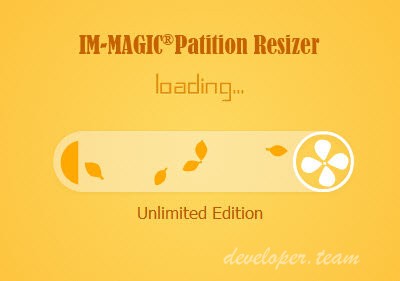 IM-Magic Partition Resizer crack free download