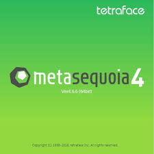 Metasequoia crack
