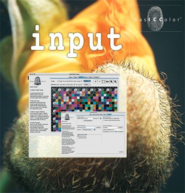display full version download