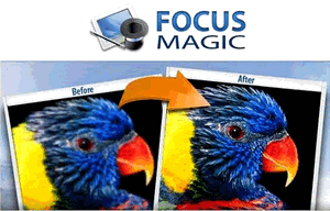 focus magic reviews