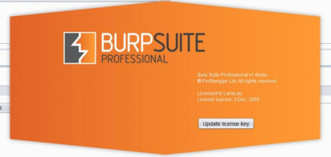 Burp Suite Professional incl patch download