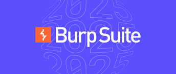 Burp Suite Professional