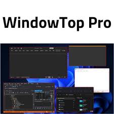 WindowTop Pro